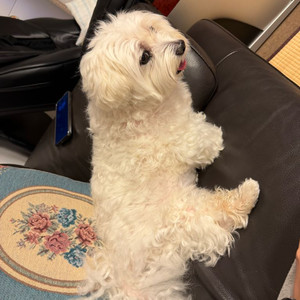 배틀필드6 스팀월렛으로 삽니다 70%