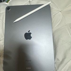 아이패드 에어 5세대