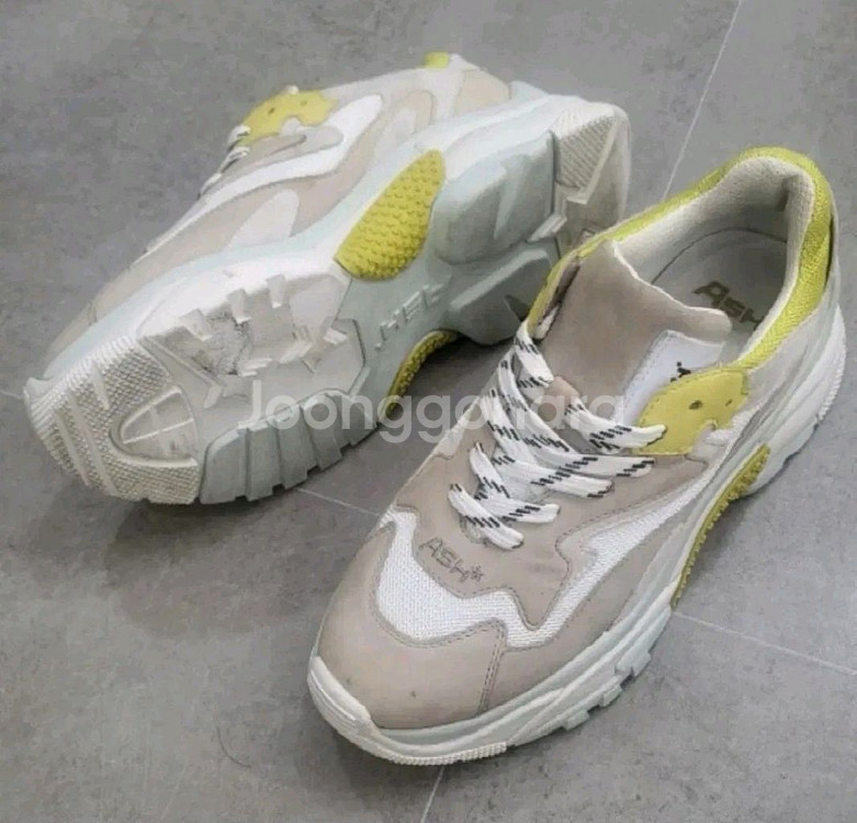 아쉬 어딕트 남성 스니커즈 40 260-265--2