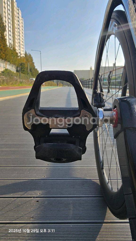 세파스 리파인드6 Di2 판매.--3