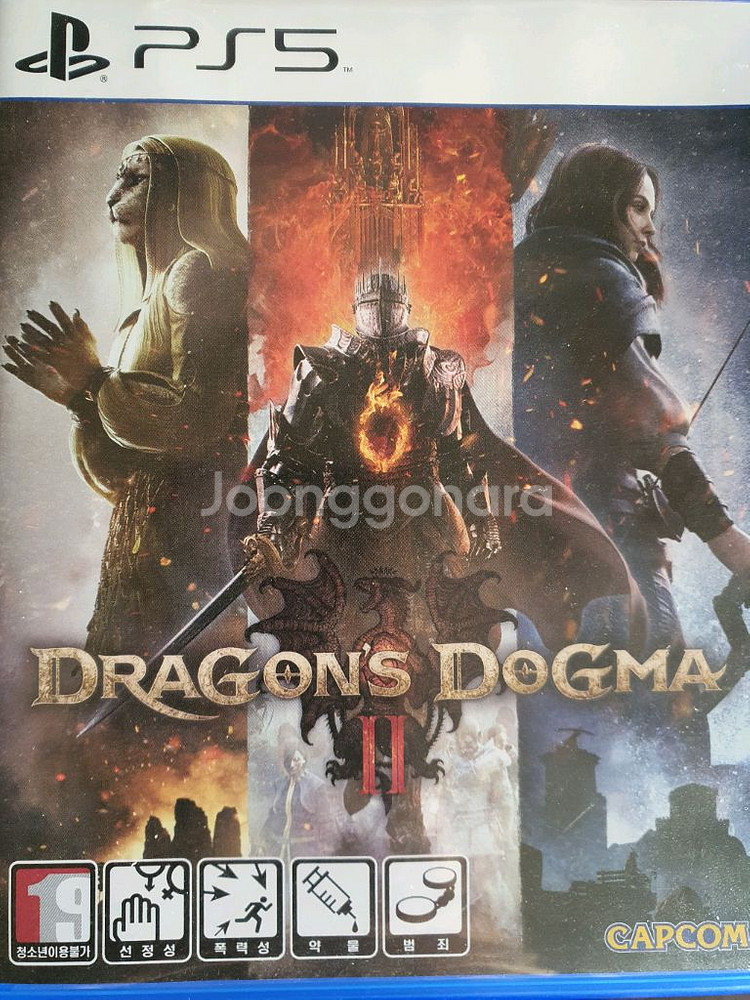 PS5 드래곤즈 도그마2--0