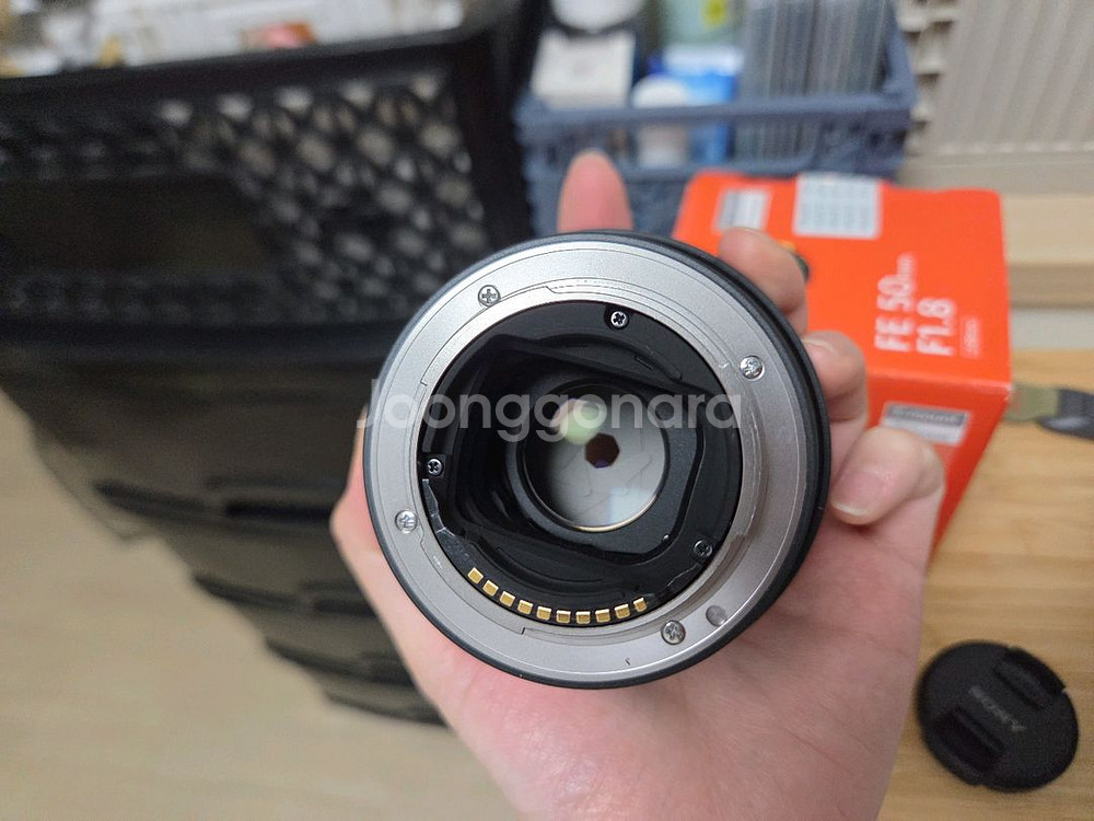 소니 50mm f1.8 sel50f18f--1