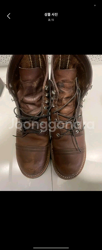 레드윙 8111 270--0