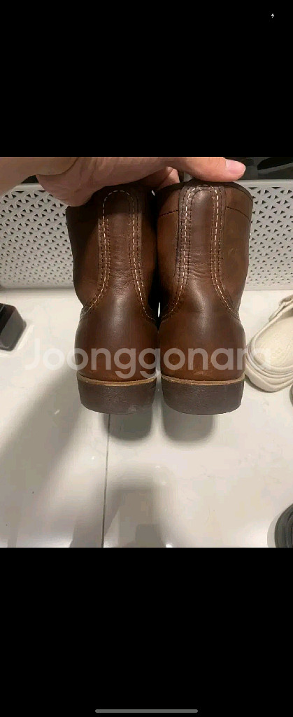 레드윙 8111 270--1