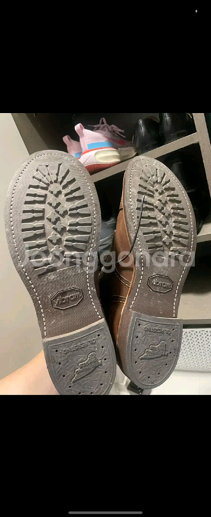 레드윙 8111 270--2