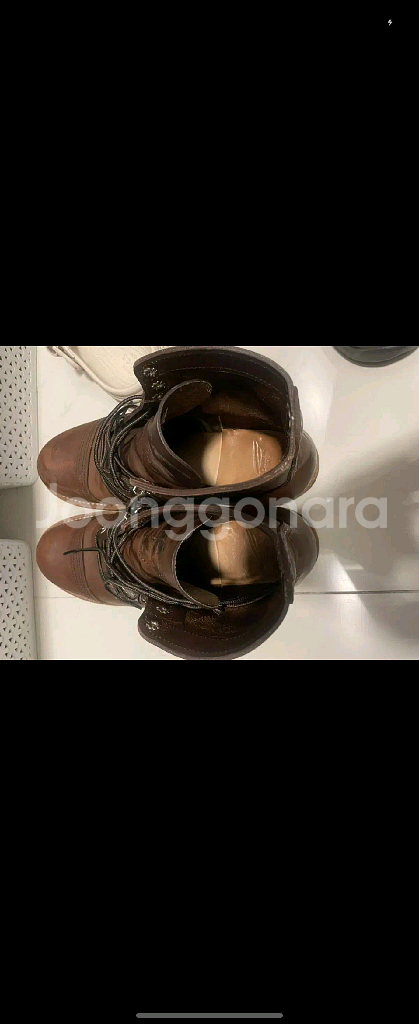 레드윙 8111 270--3