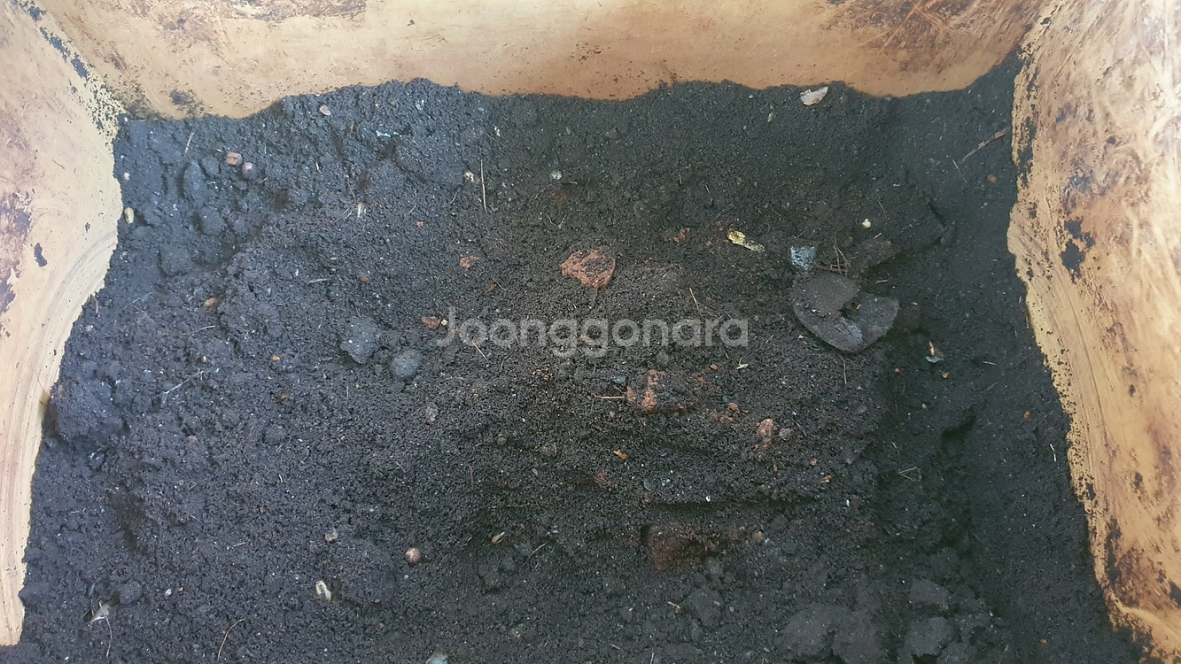 미생물 음식물처리기 미생물 2.5kg--0