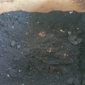 미생물 음식물처리기 미생물 2.5kg