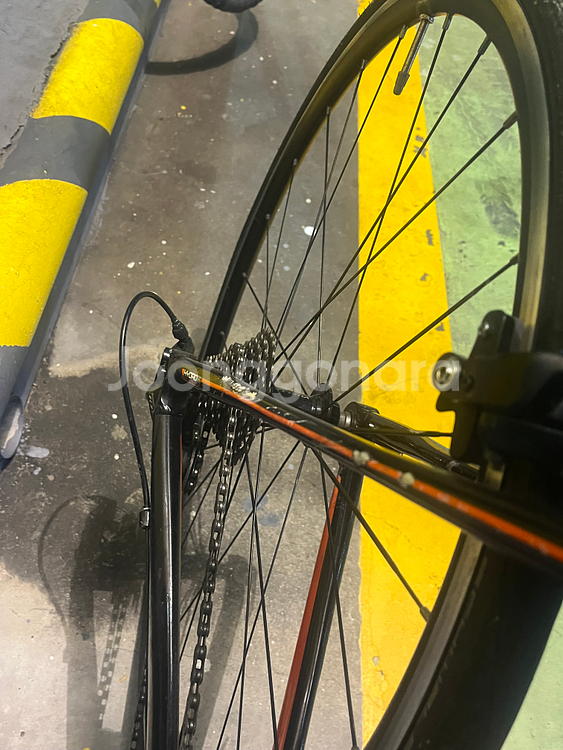 [급처] 첼로 테라 105구동계 로드자전거 판매/급처--5