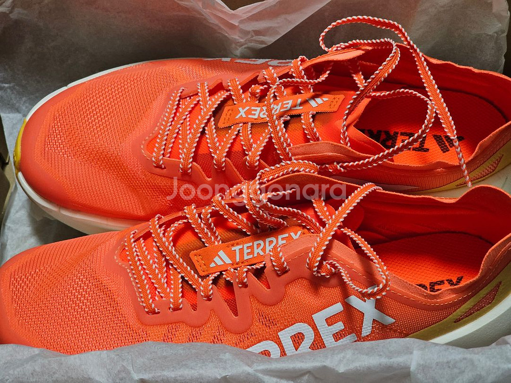 아디다스 테렉스 아그라비크 스피드 울트라--0