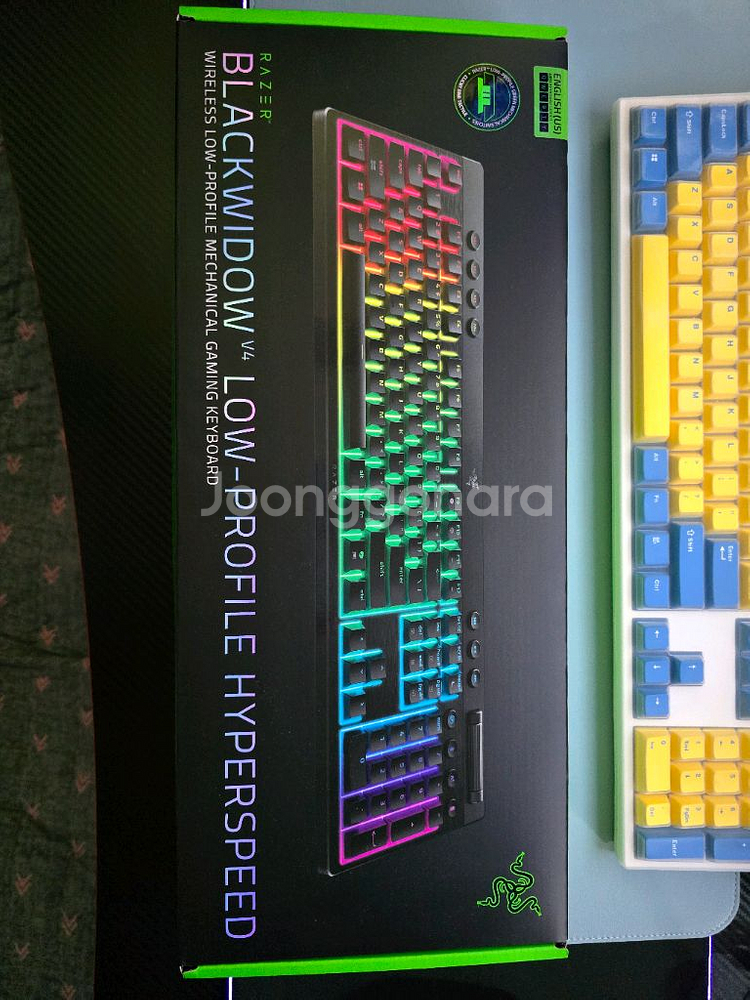 레이저 블랙위도우 V4 로우프로파일 그린축 RAZER BLACKWIDOW V4--1