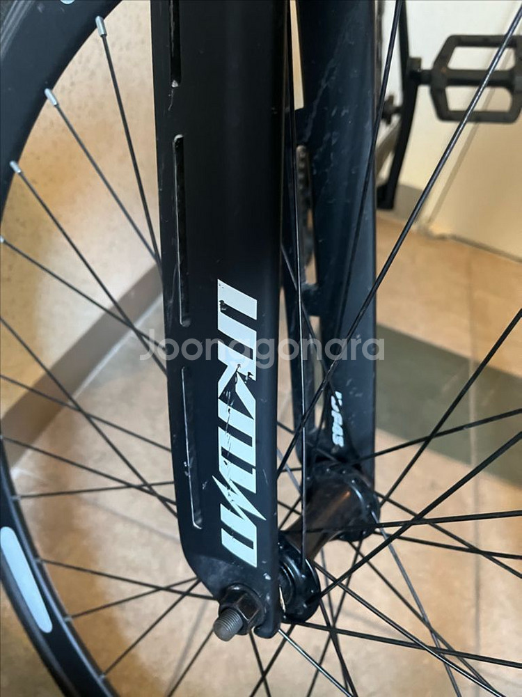 언노운 싱귤러리티2 2024--5