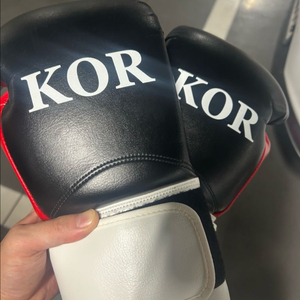 중고 16온스 복싱 Boxing 권투 UFC 글러브