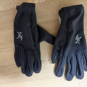 아크테릭스 벤타 글러브 블랙 M