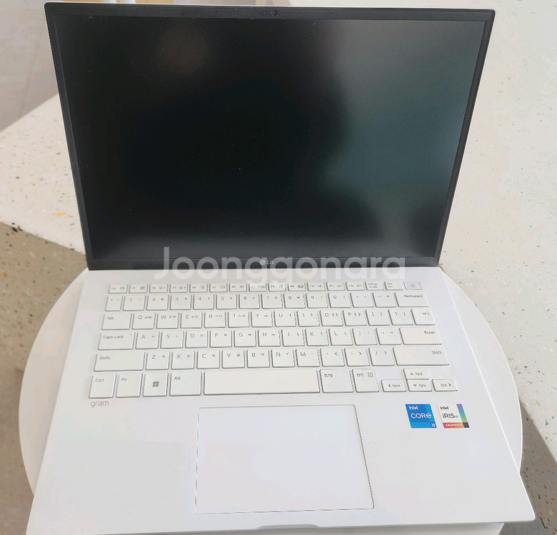 LG그램 i5 12세대 16GB 256GB 윈11프로--2