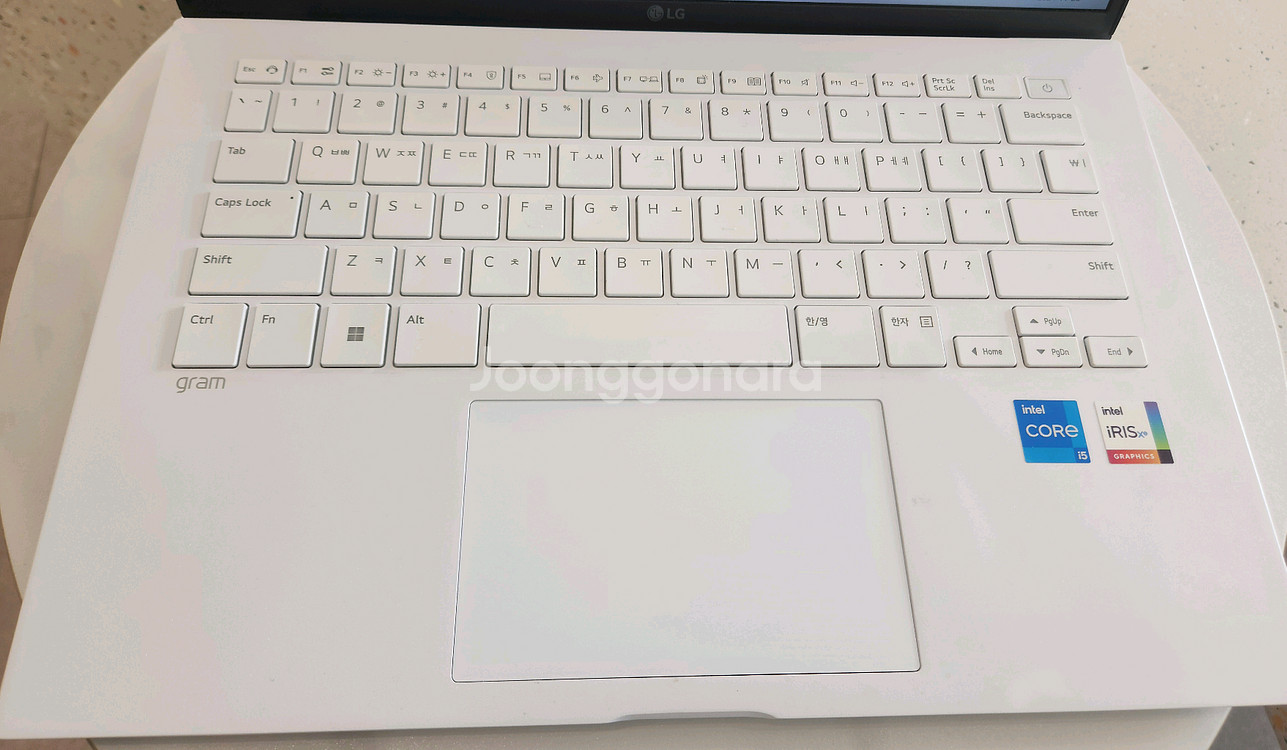 LG그램 i5 12세대 16GB 256GB 윈11프로--1
