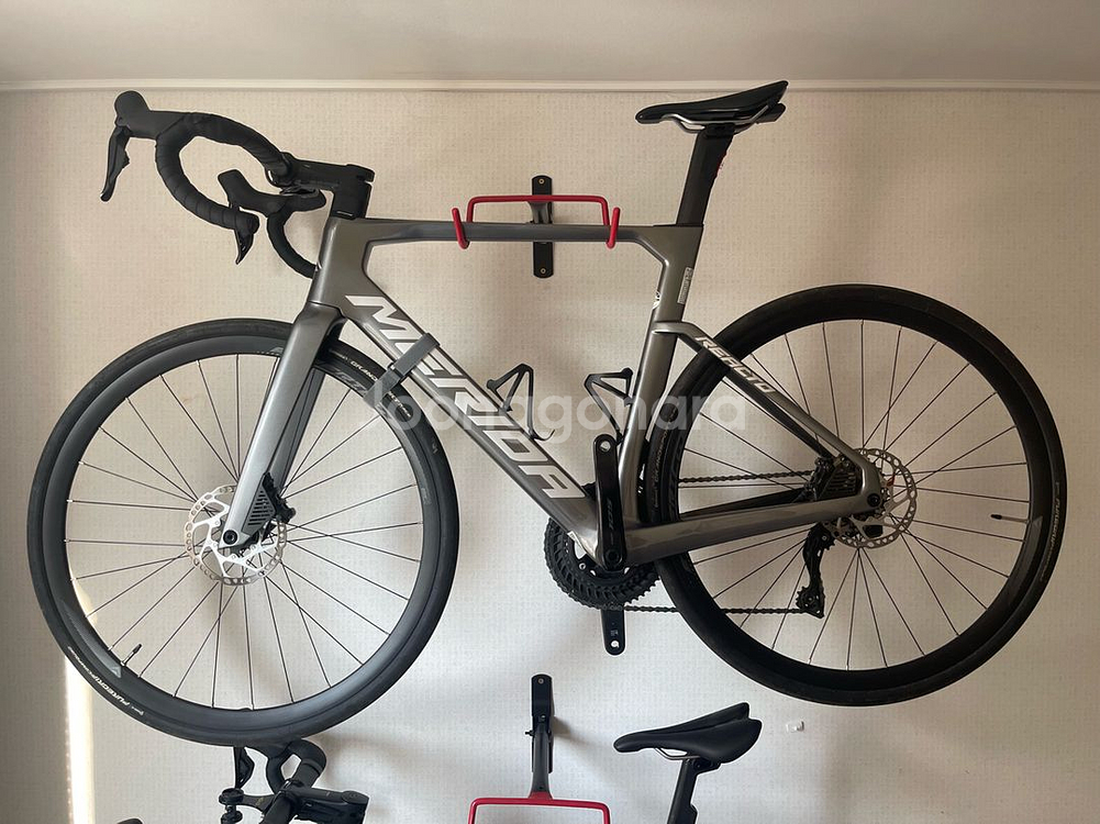 메리다 리액토 6000 24년식--1