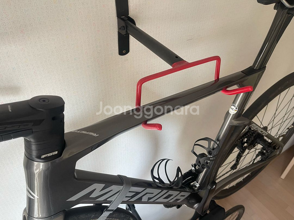 메리다 리액토 6000 24년식--6