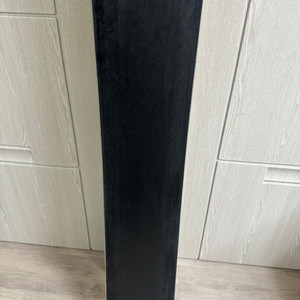 F2알파인보드(스피드스터) 팝니다!!