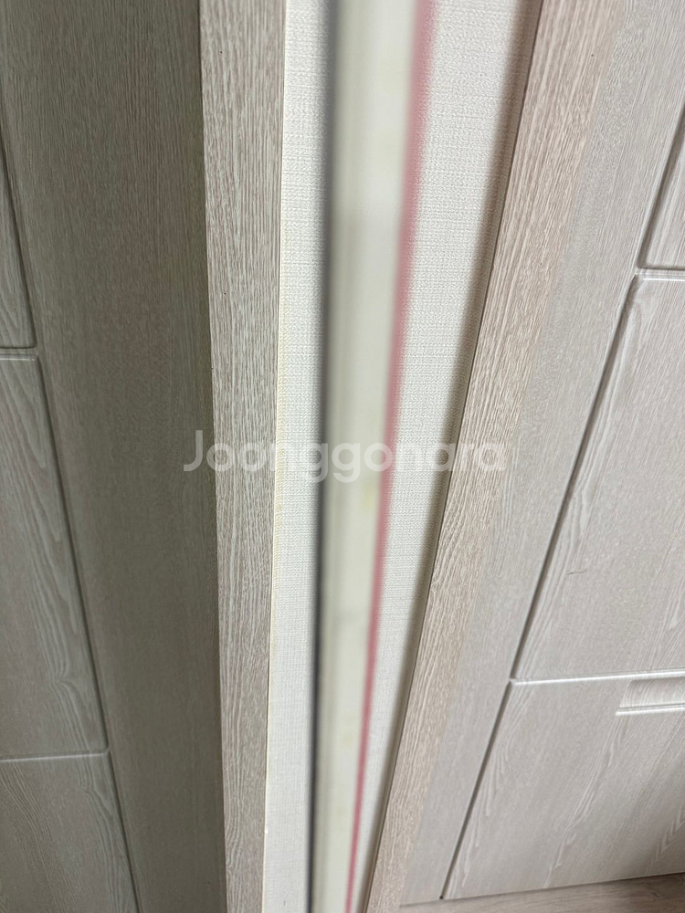 F2알파인보드(스피드스터)gs180 팝니다!!--2