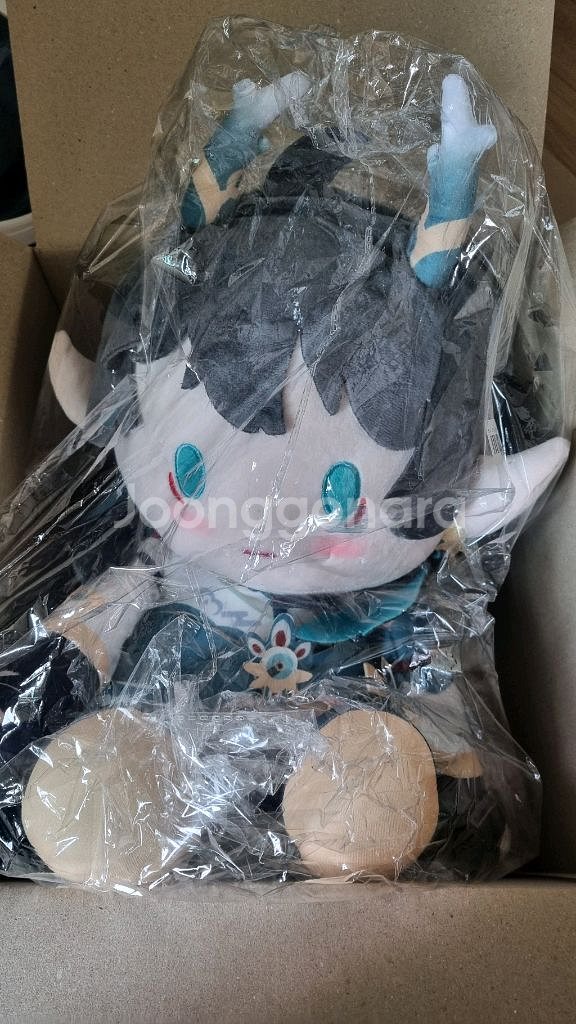 급처 배송비포함!! 붕괴스타레일 붕스 단항 음월 40cm 인형--0