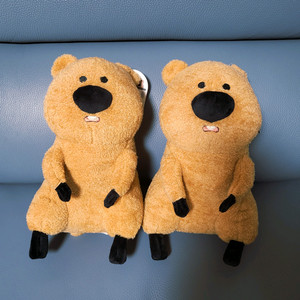 쿼카 코커 인형 (25cm) - 수량 1개