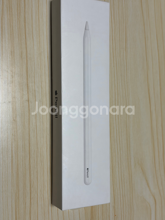 애플펜슬 2세대--2