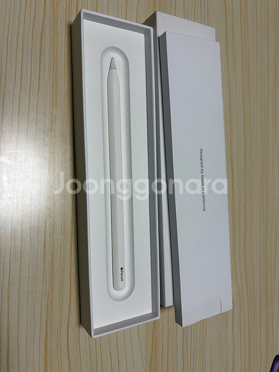 애플펜슬 2세대--1