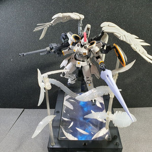 RG 톨기스 플뤼겔