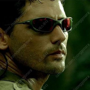 메탈릭 렌즈 선글라스