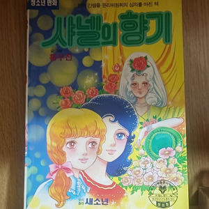 황수진 순정만화 샤넬의 향기