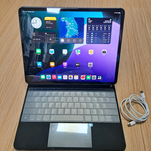 아이패드프로 12.9(3세대,512g,5G)