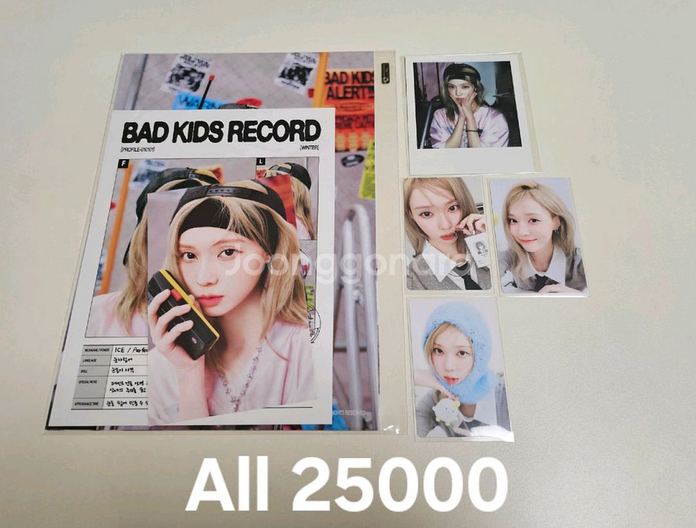 25 에스파 윈터 시그 분철 폴라로이드 포함--0