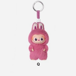 미개봉) 팝마트 라부부 미니 내 마음속 비밀번호 N-Z