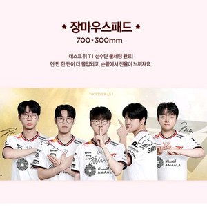 T1(티원) x 페스티버 - 마우스패드 스페셜에디션