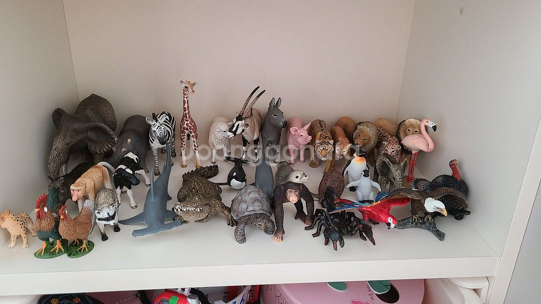 슐라이히 35종--0