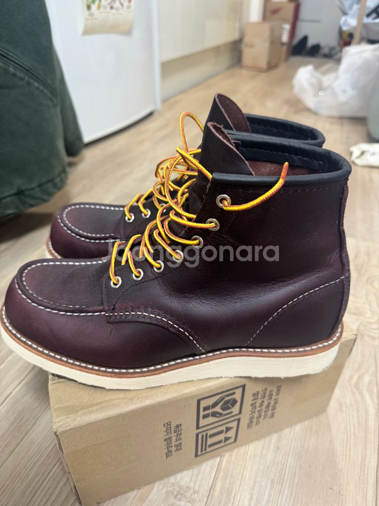 레드윙 목토8847 265E사이즈--1