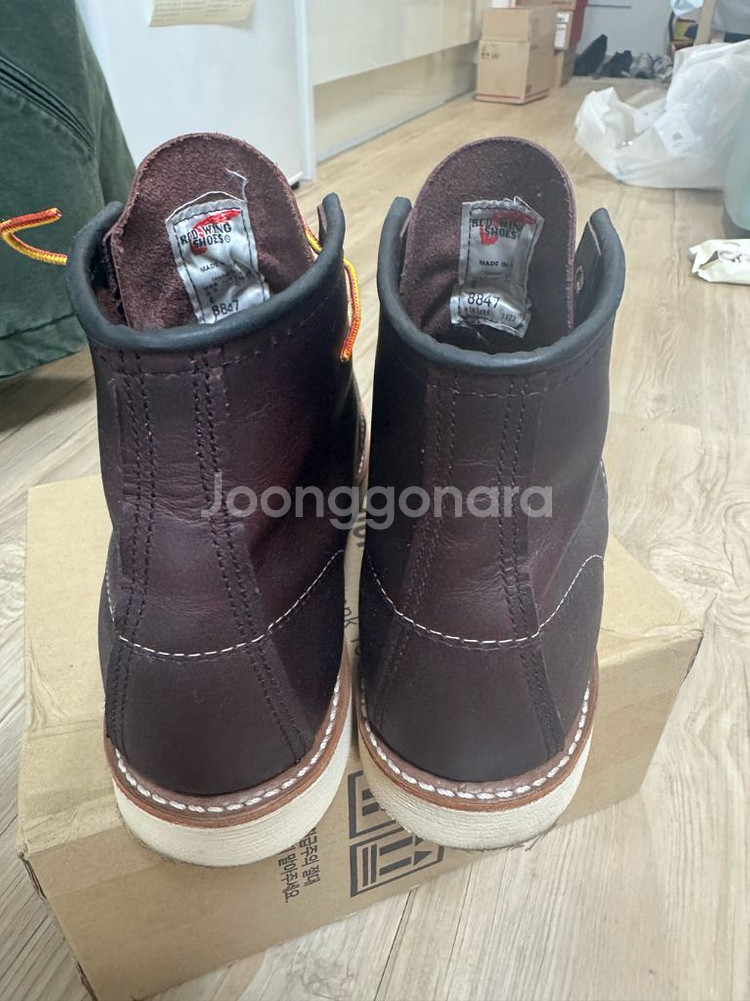 레드윙 목토8847 265E사이즈--3