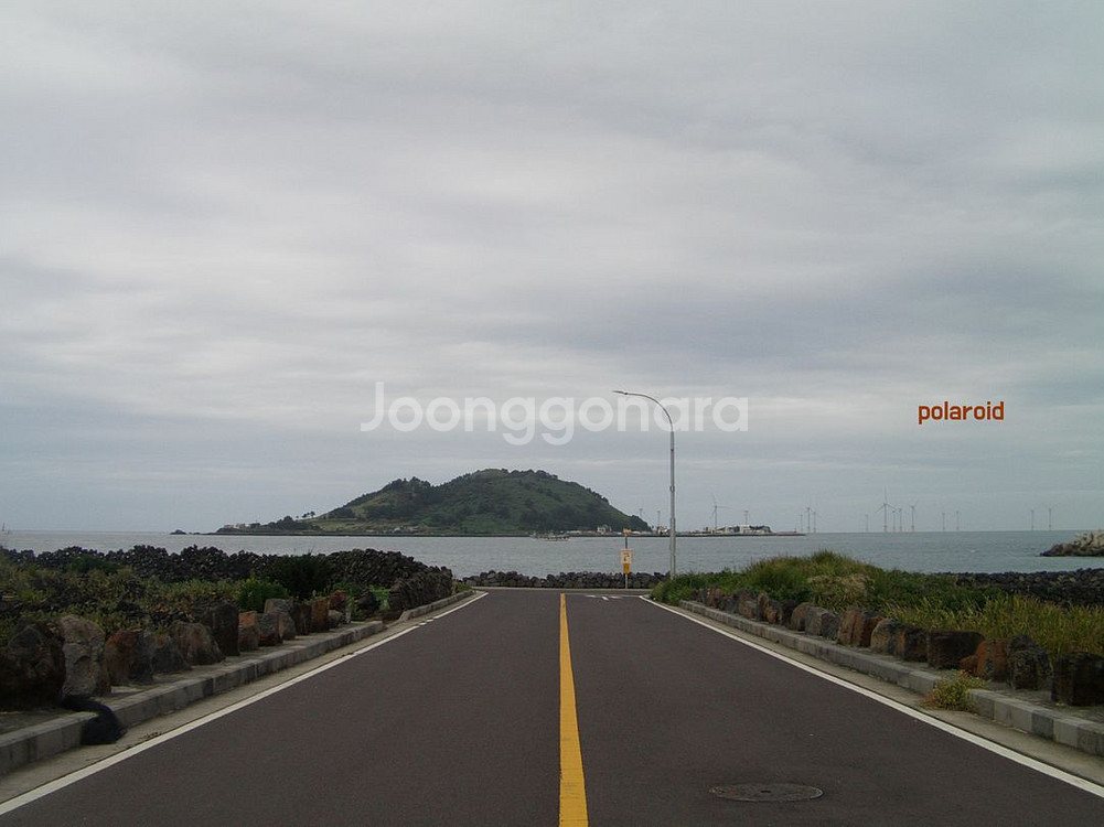 canon ixus90(미우미우카메라), polaroid dvg-1080p--6