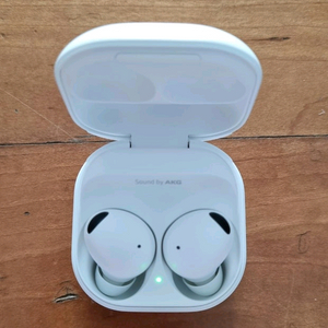 버즈 프로2 화이트