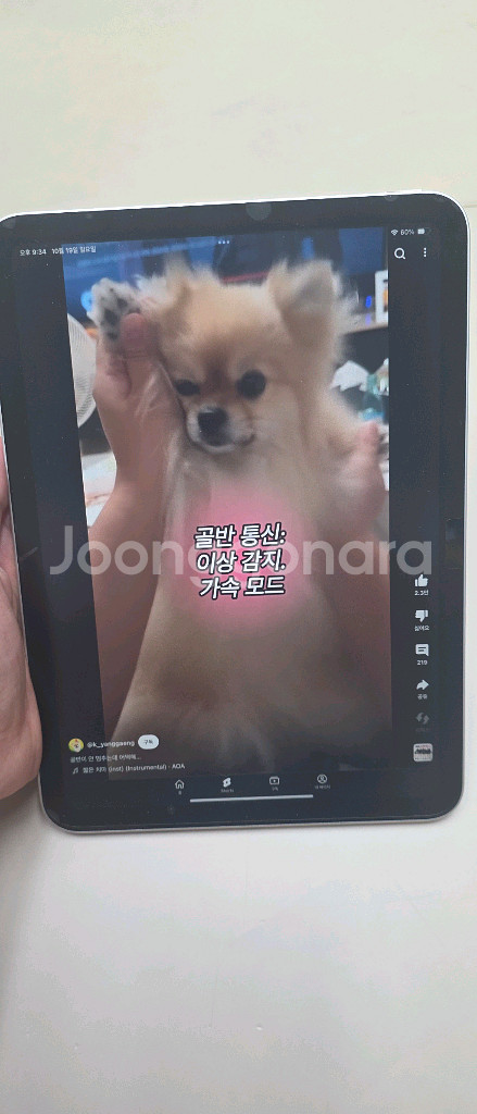 아이패드 10세대 256gb wifi(배터리 100%)--1