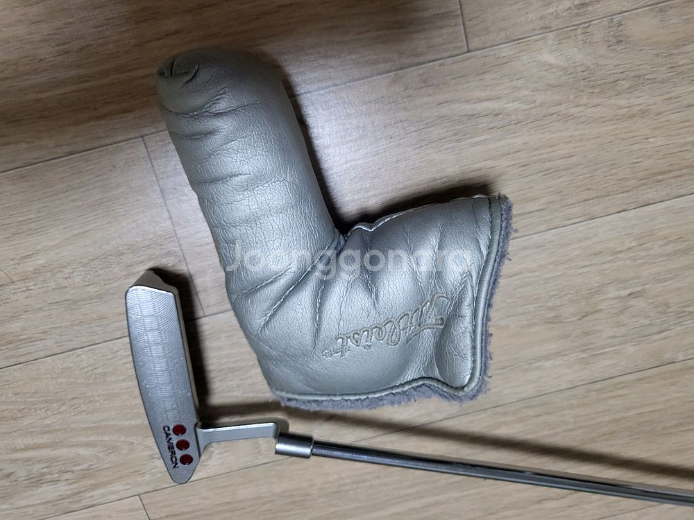 정품 스카티카메룬 뉴포트2 스튜디오셀렉트--6