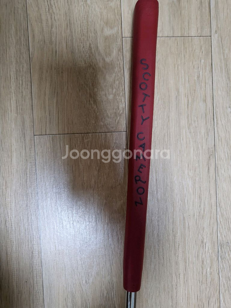 정품 스카티카메룬 뉴포트2 스튜디오셀렉트--5