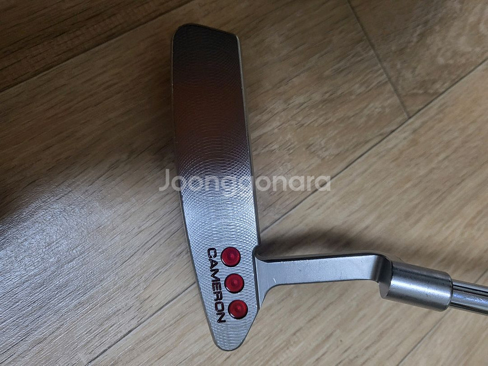 정품 스카티카메룬 뉴포트2 스튜디오셀렉트--2