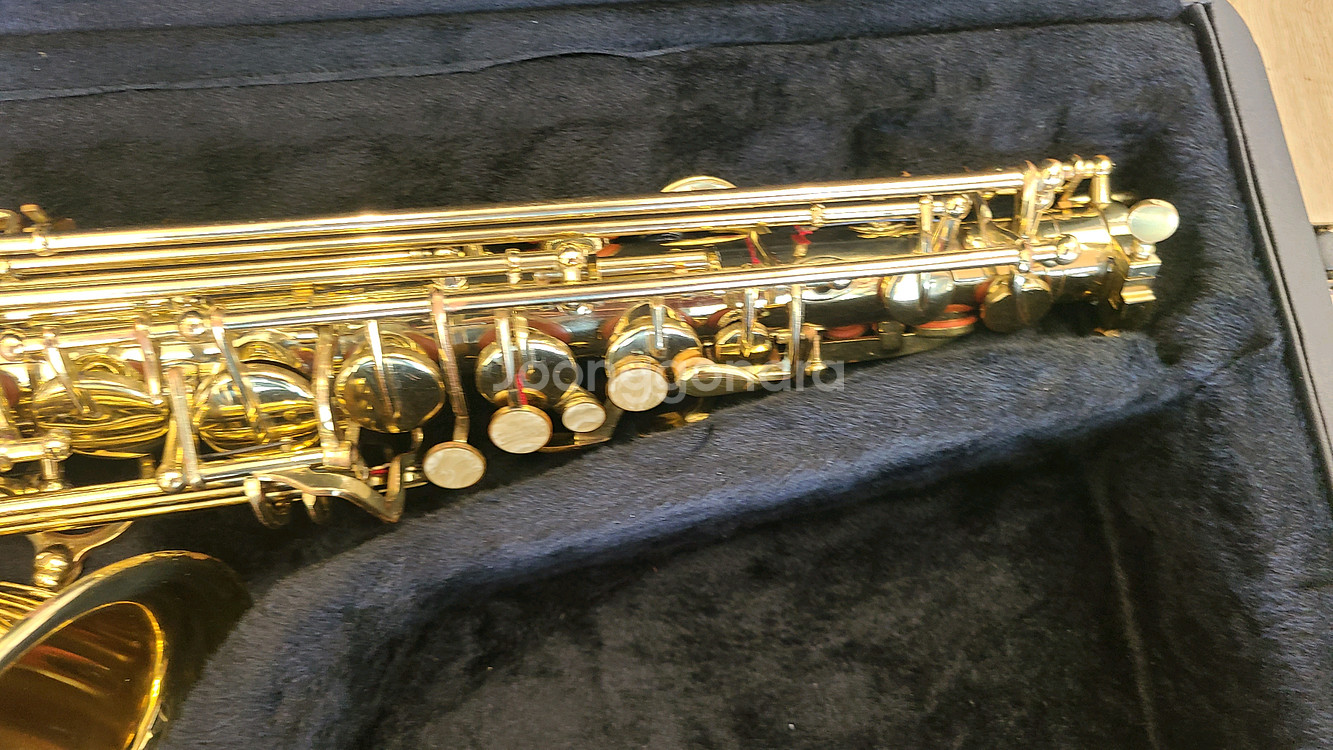 에본느 알토 색소폰 팝니다--1