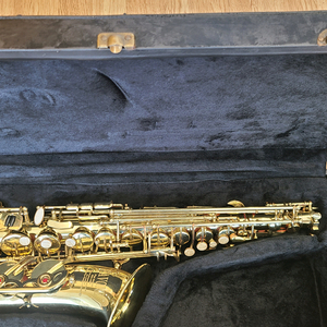 에본느 알토 색소폰 팝니다