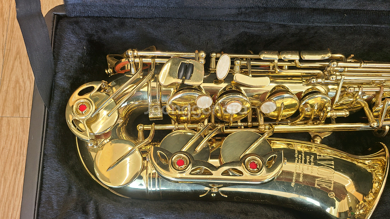 에본느 알토 색소폰 팝니다--3