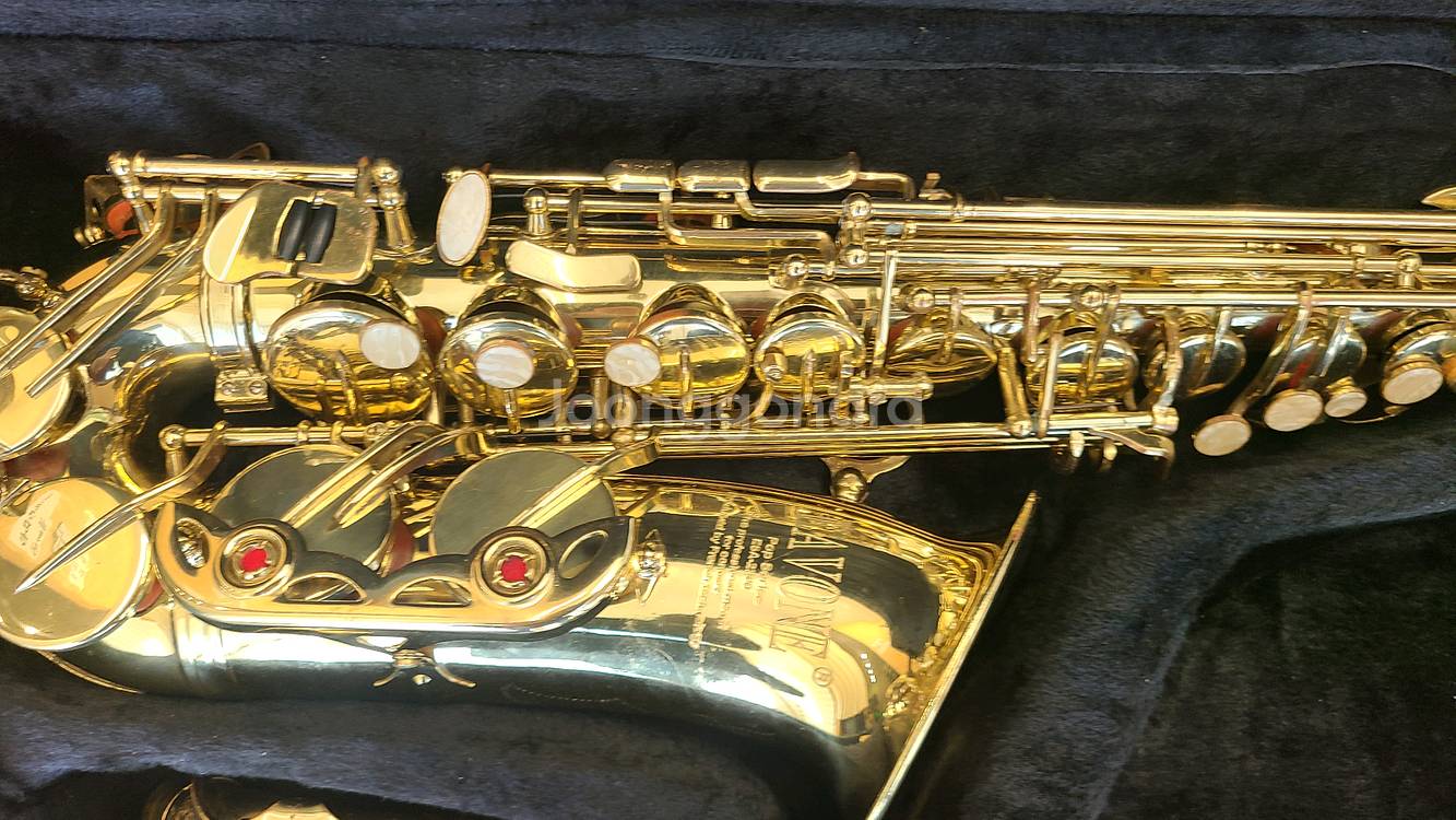 에본느 알토 색소폰 팝니다--2