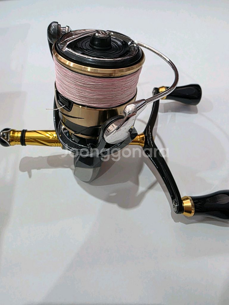 다이와 24 루비아스 LT2500S 직수--5