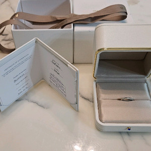 부쉐론 파셋 플래티넘 56호